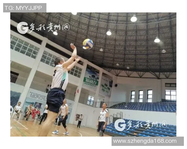 普定篮球明星的成长之路与辉煌成就探秘